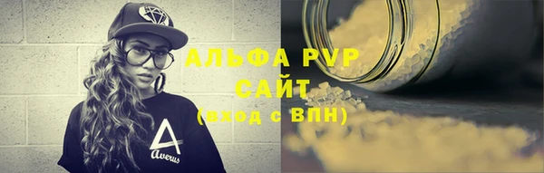 прущие грибы Заволжье