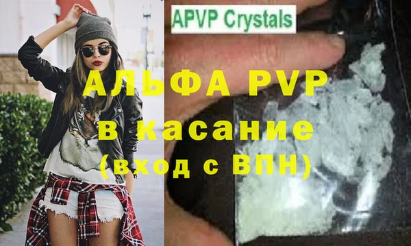 прущие грибы Заволжье