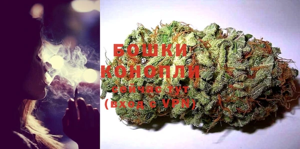 прущие грибы Заволжье