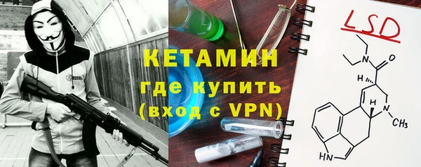 прущие грибы Заволжье