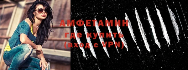 прущие грибы Заволжье